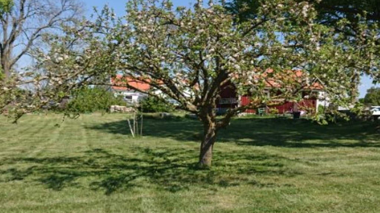 Photo of Outdoor in Sodra Kvinneby