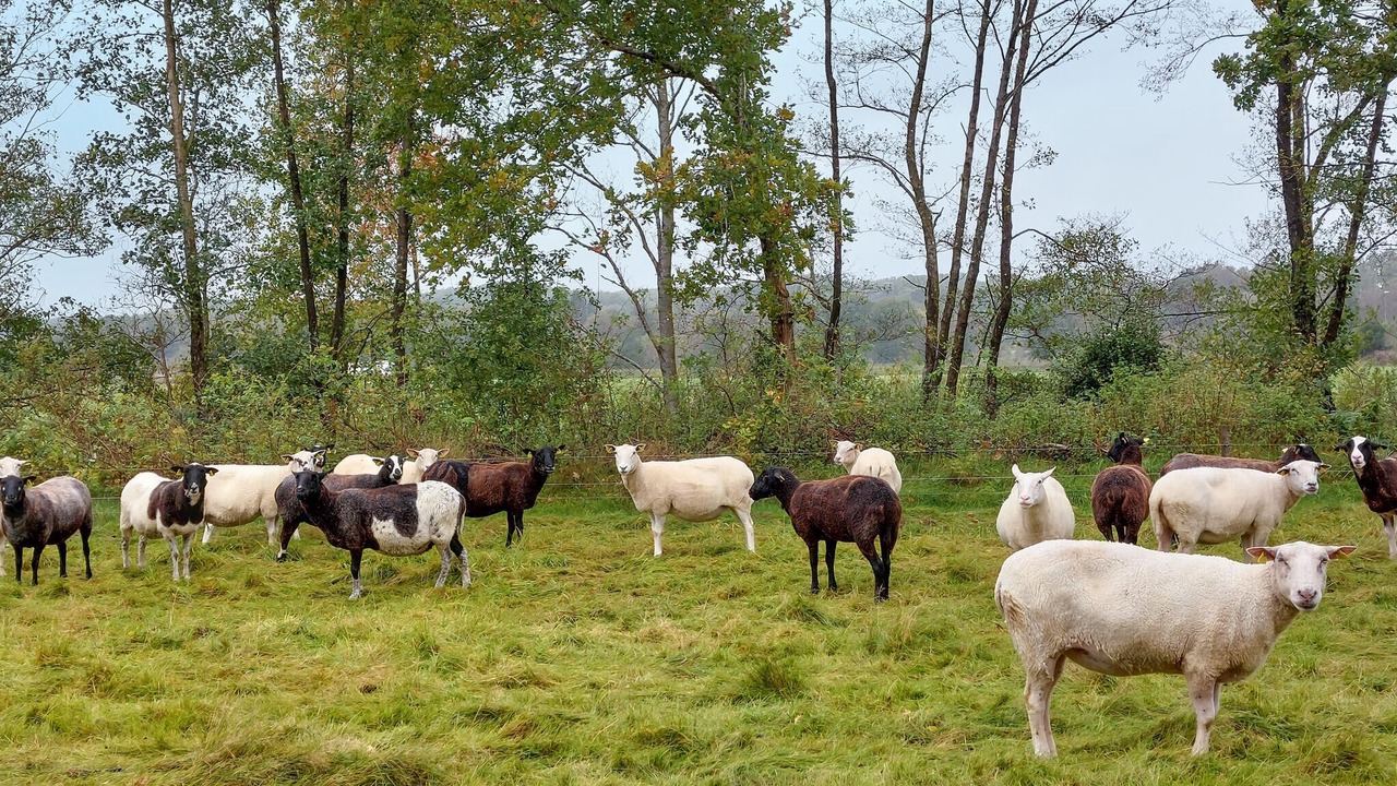Photo of Others in Orkelljunga