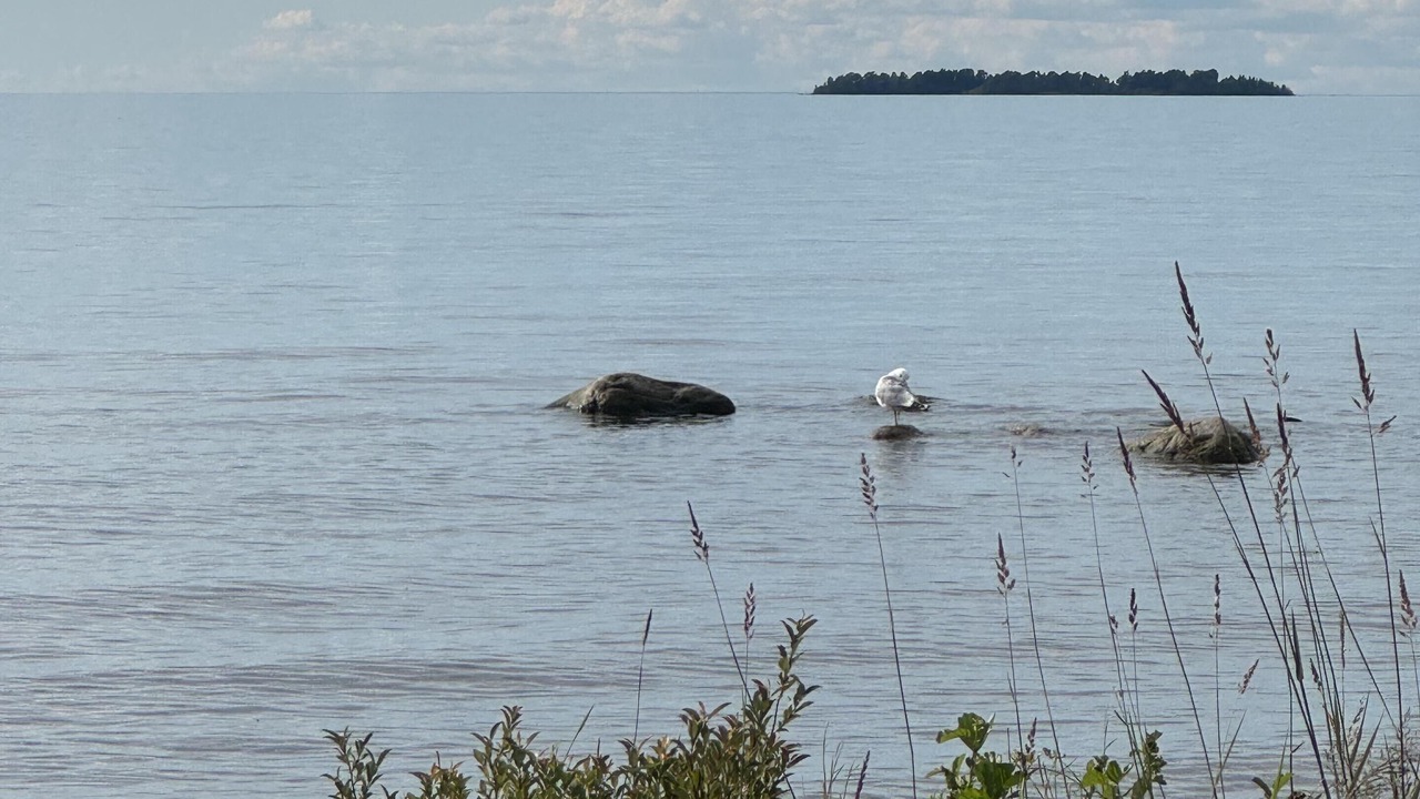 Photo of Others in Sjotorp