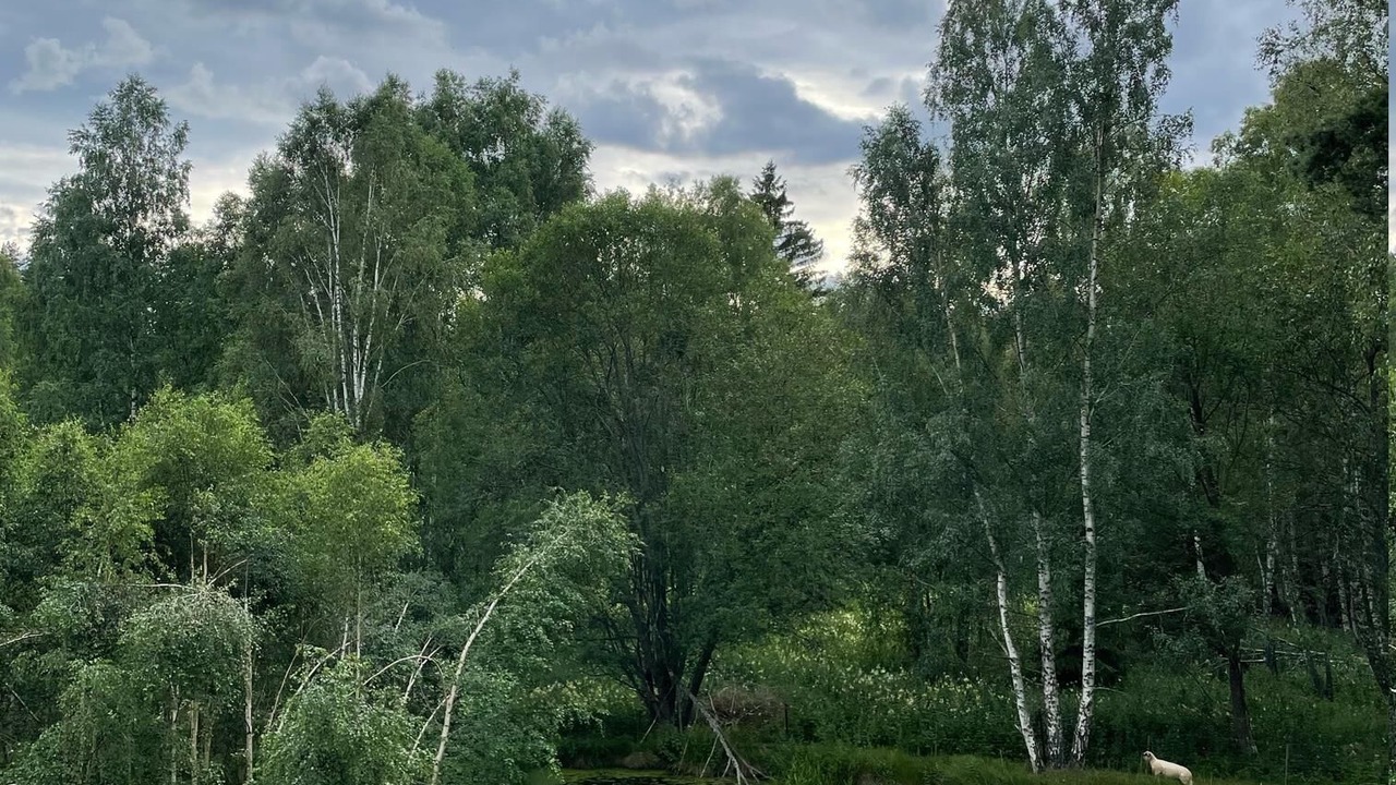 Photo of Others in Mjolby Municipality