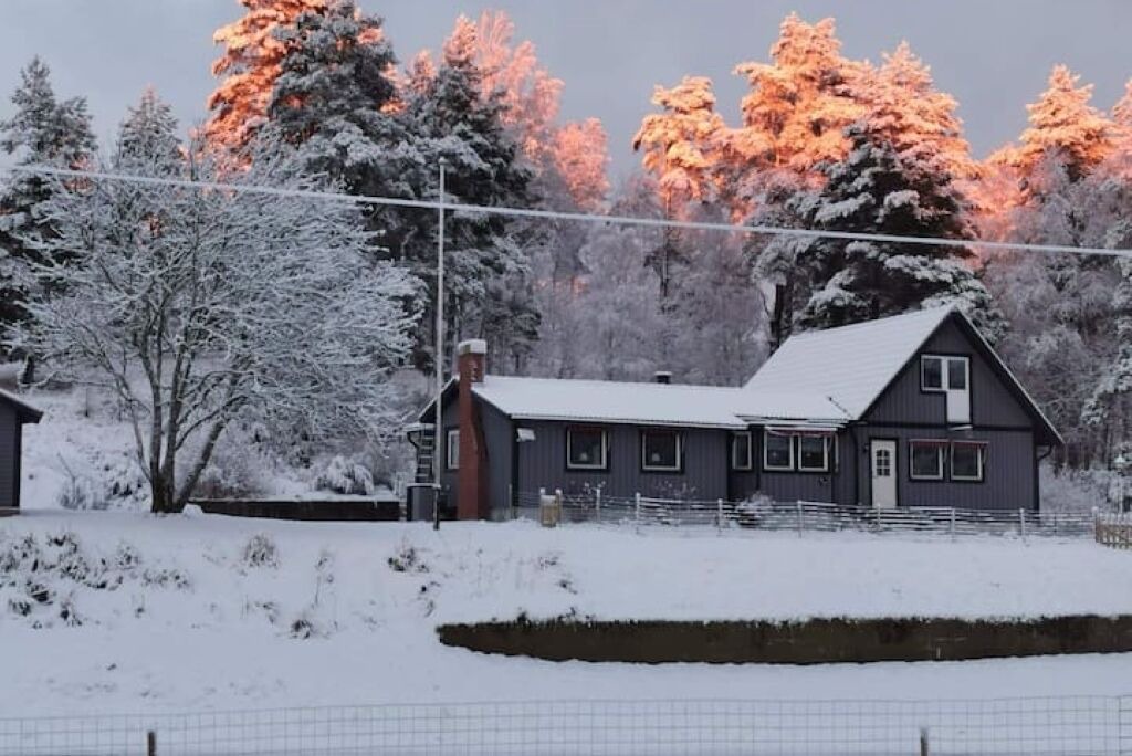 Photo of Outdoor in Ronninge