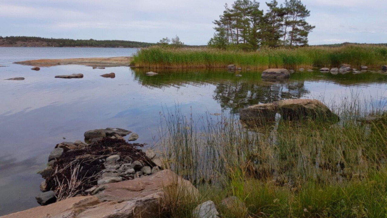 Photo of Others in Valdemarsvik Municipality