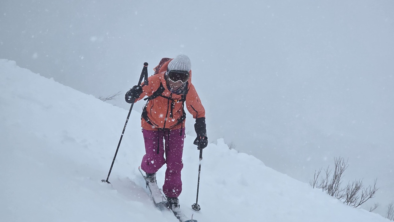 Photo of Others in Berg