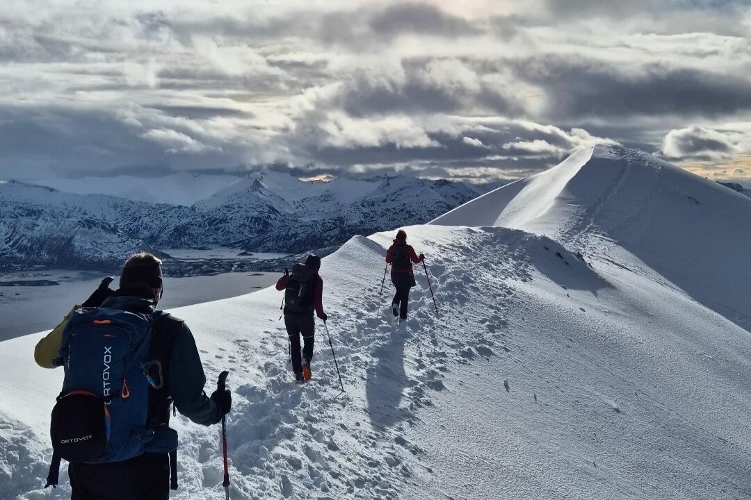 Photo of Others in Berg