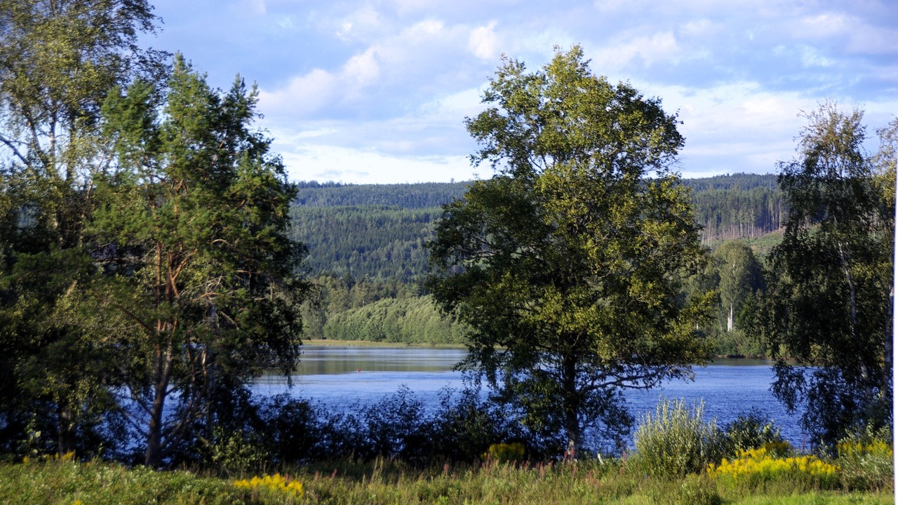 Photo of Others in Hagfors Municipality