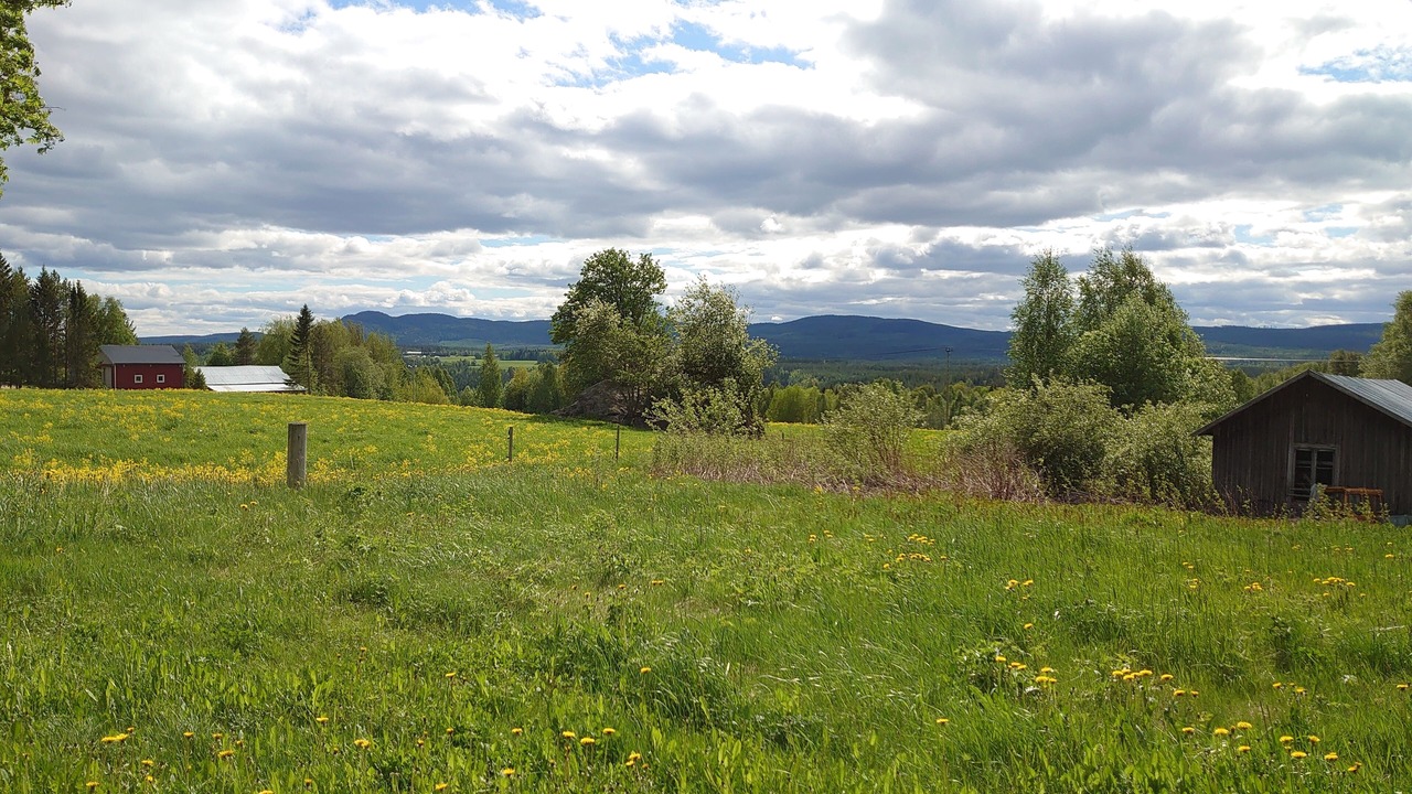 Photo of Others in Bjurholm