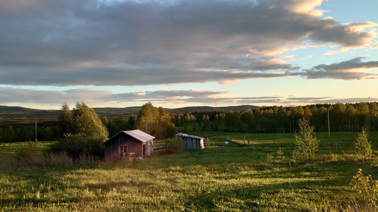 Photo of Others in Bjurholm
