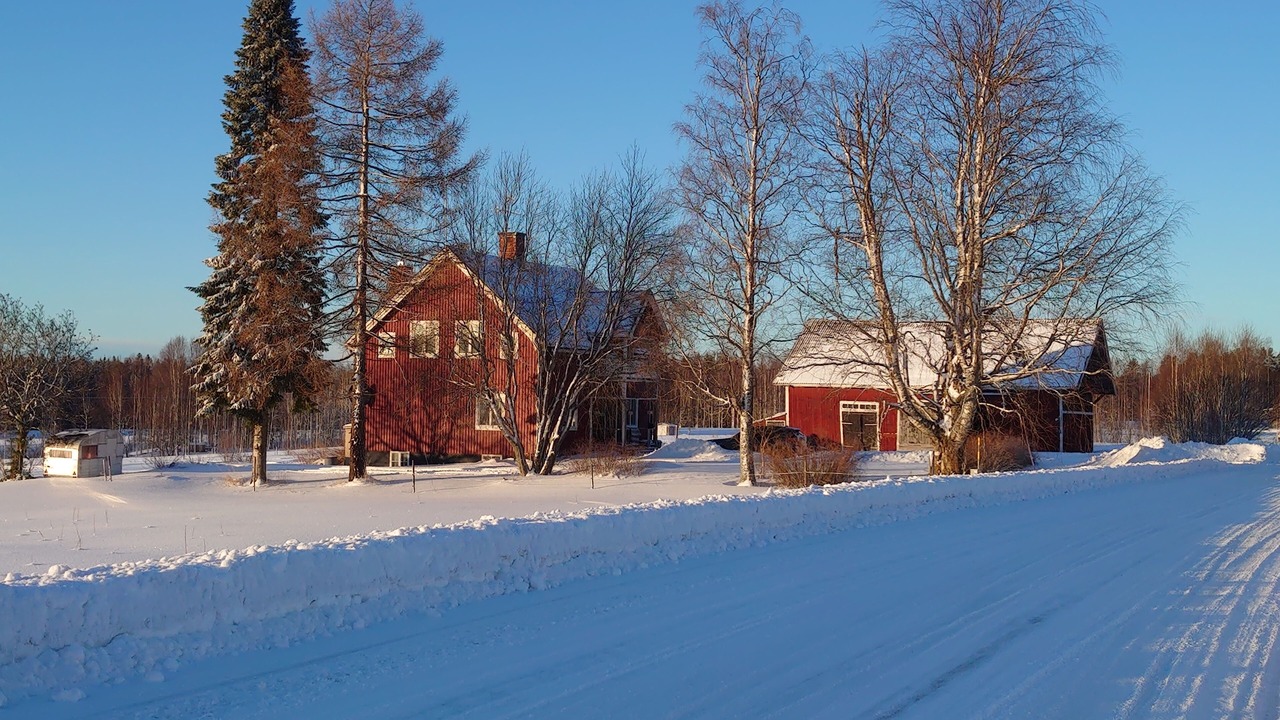 Photo of Outdoor in Bjurholm