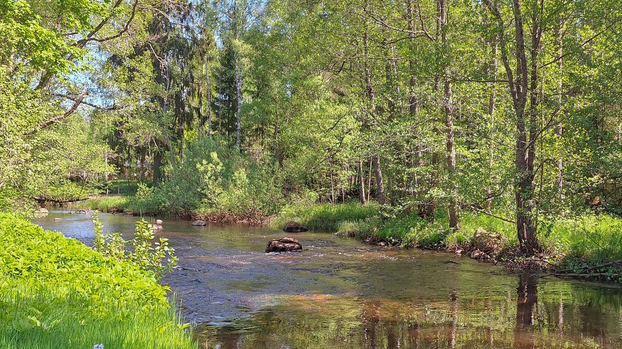Photo of Others in Mariannelund
