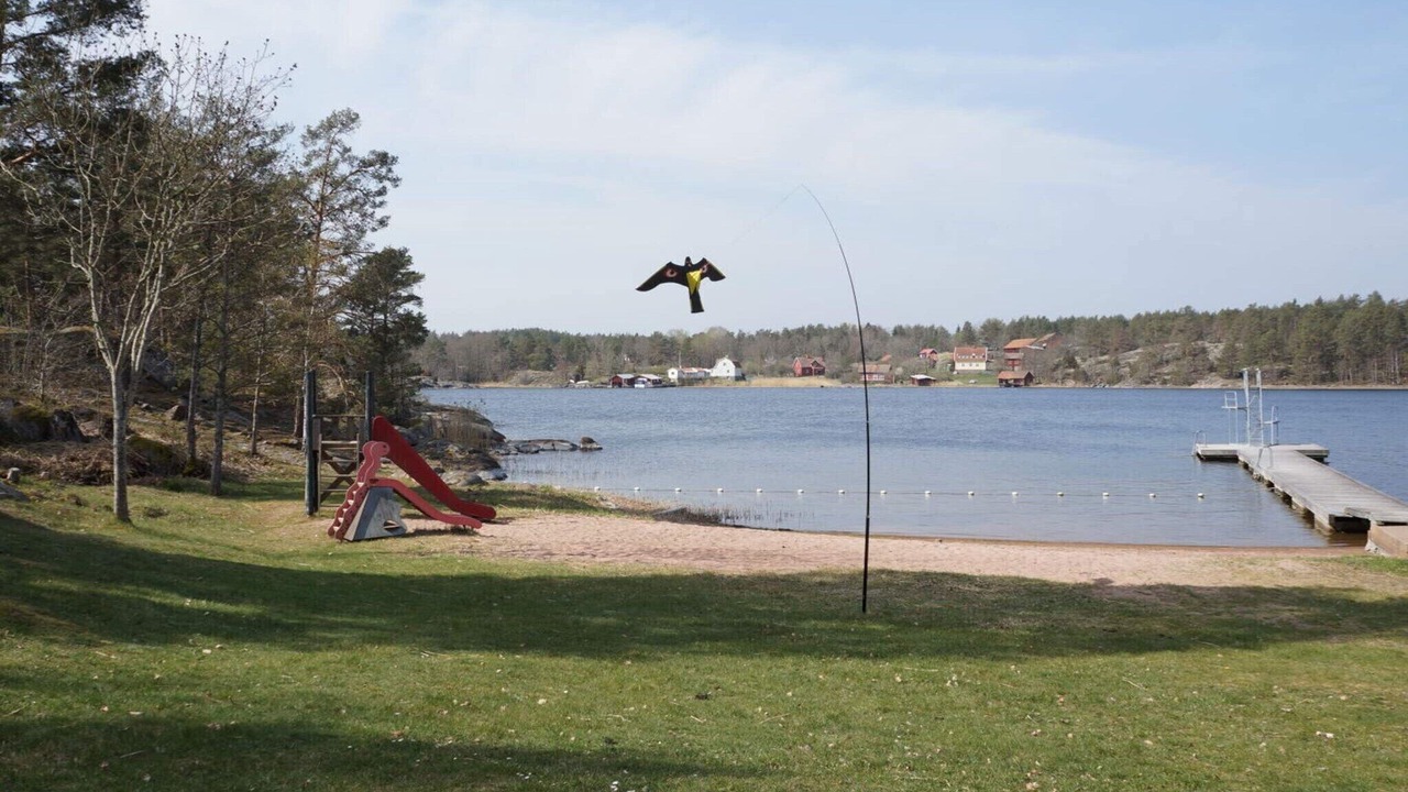 Photo of Others in Figeholm