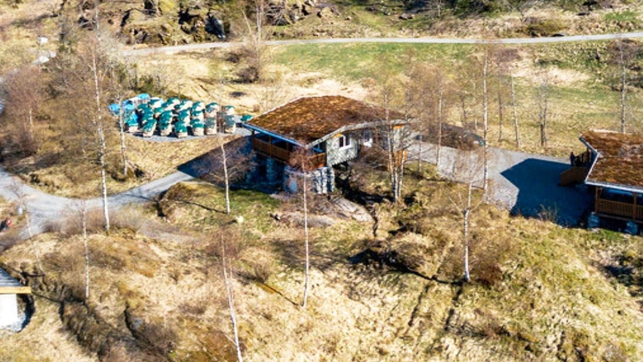Photo of Outdoor in Lonevag