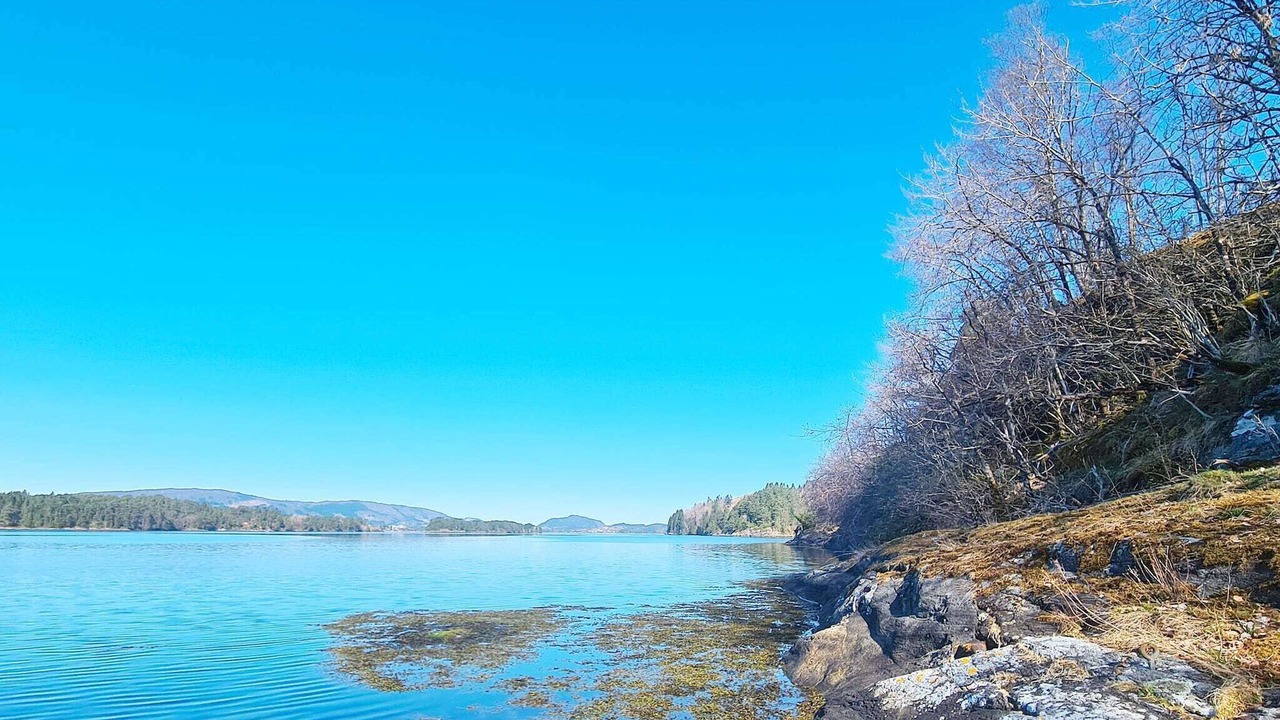 Photo of Outdoor in Lonevag