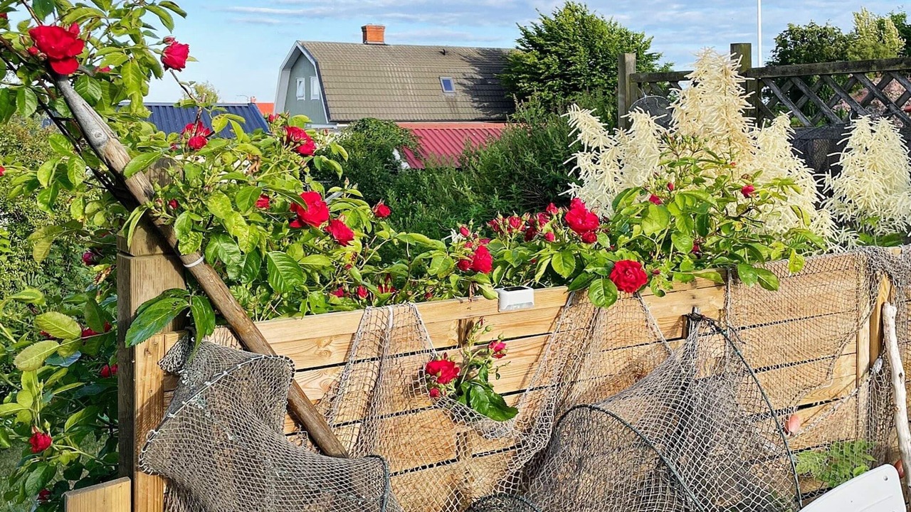 Photo of Outdoor in Hallevik