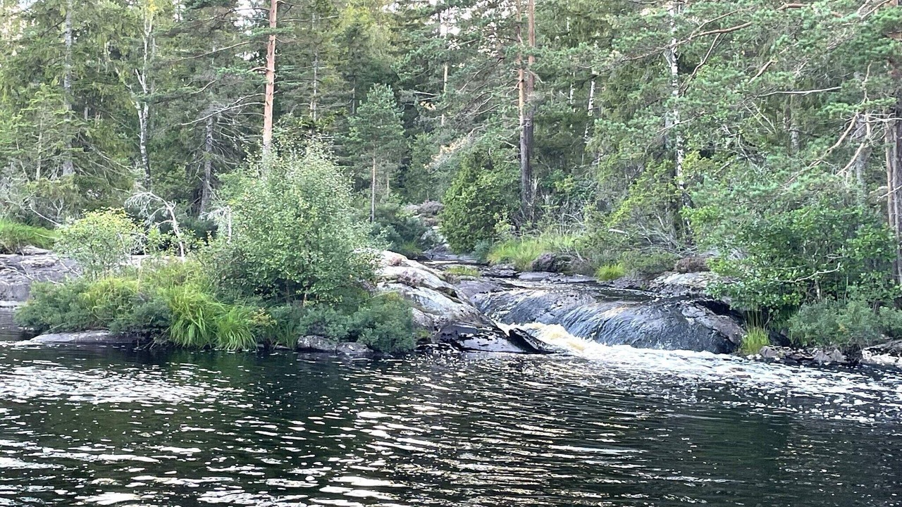 Photo of Others in Vassbo
