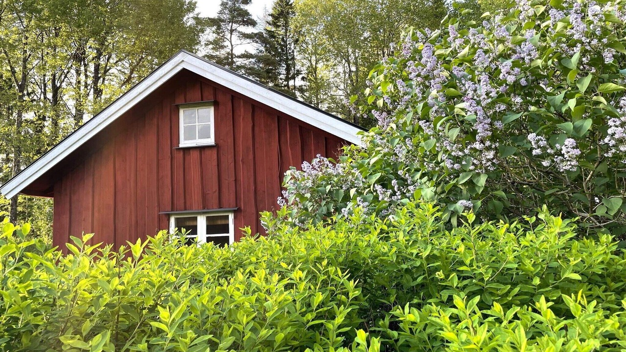 Photo of Outdoor in Vassbo