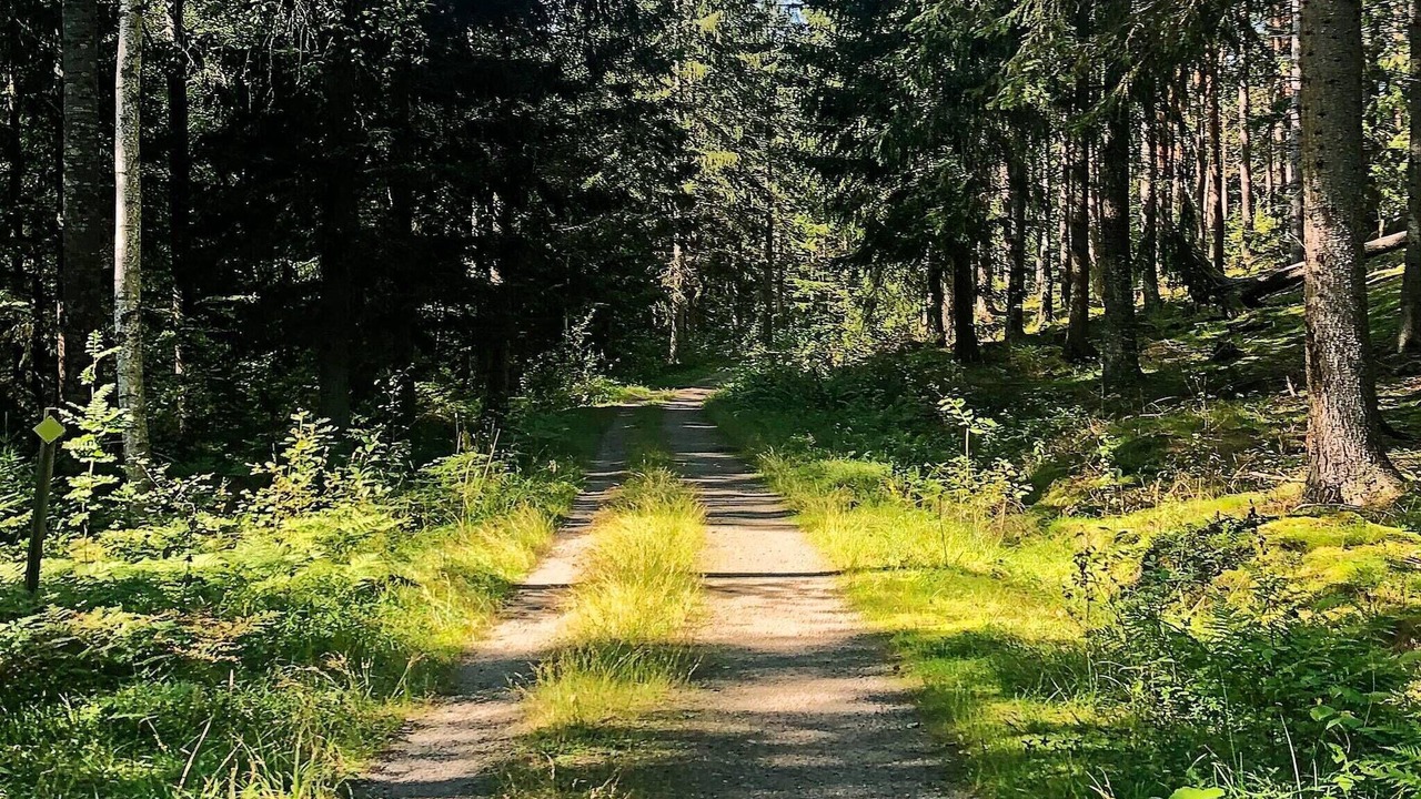 Photo of Others in Sodertalje