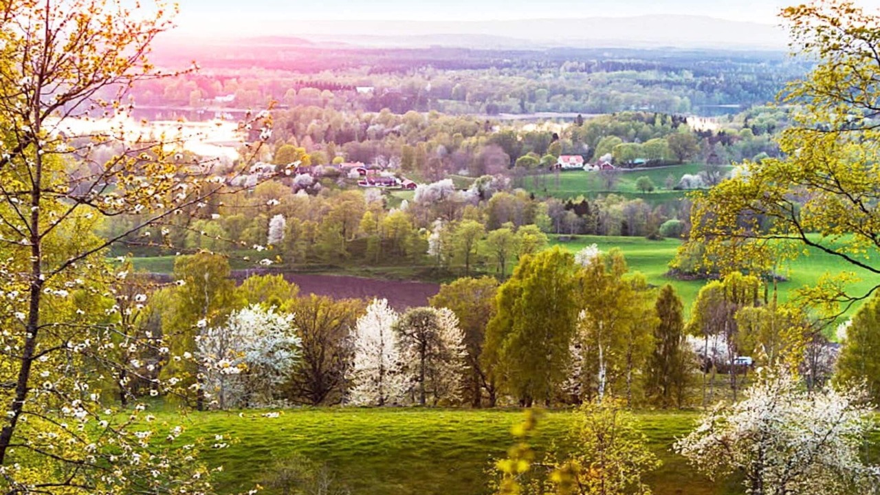 Photo of Outdoor in Lerdala