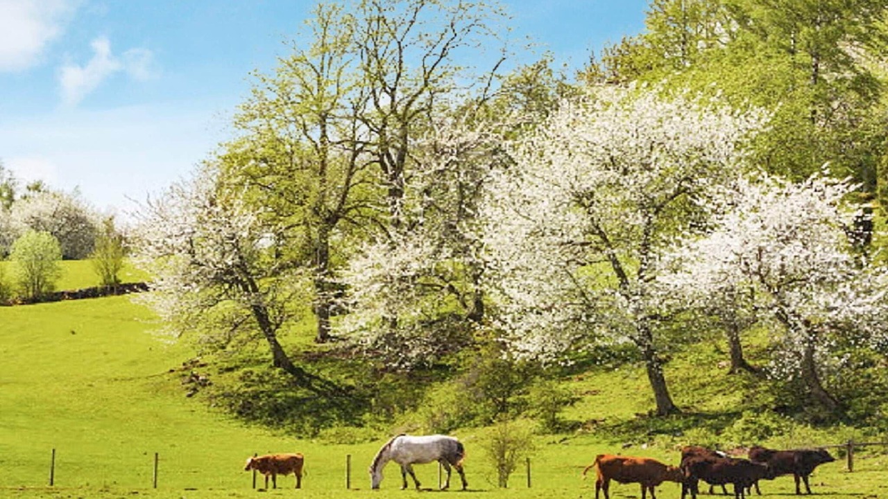 Photo of Outdoor in Lerdala