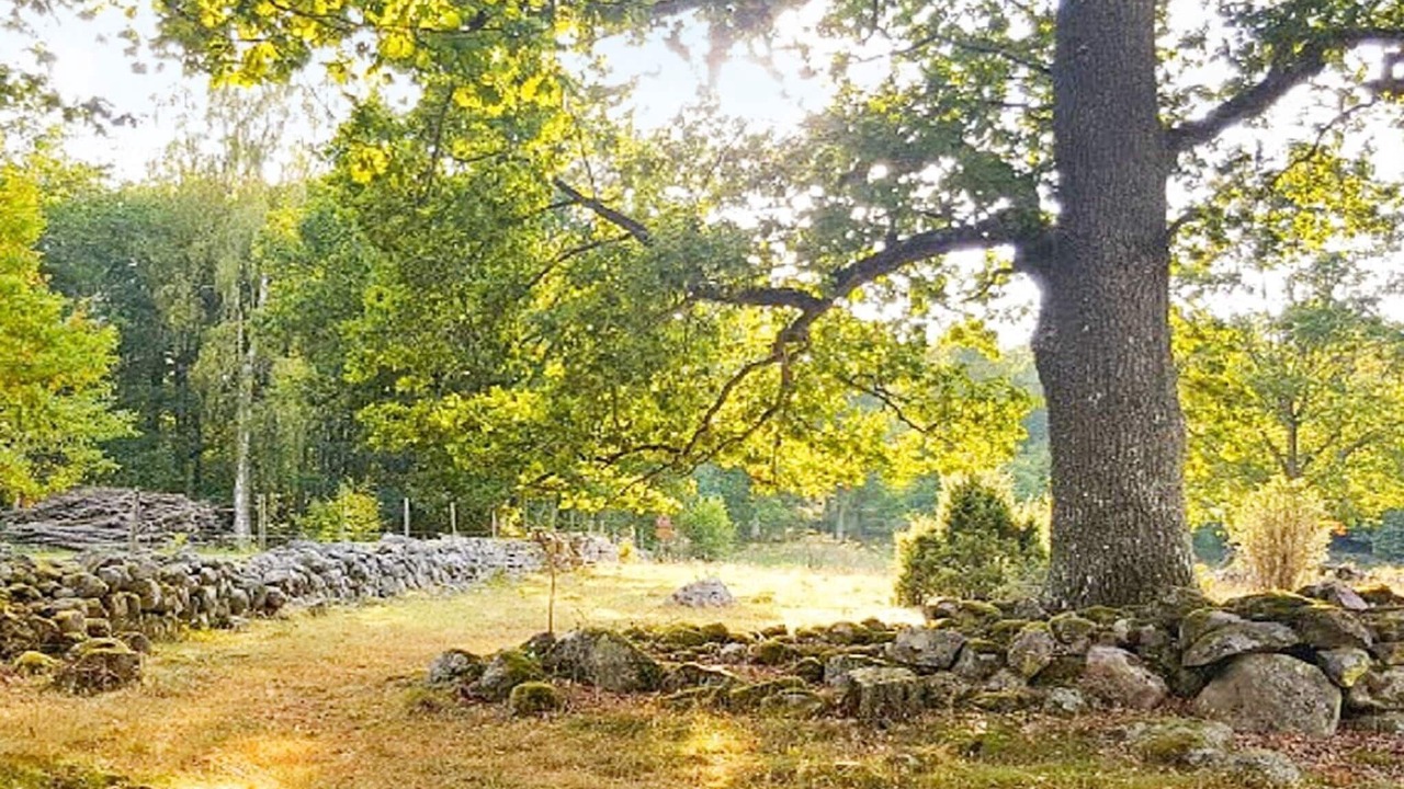 Photo of Outdoor in Lerdala
