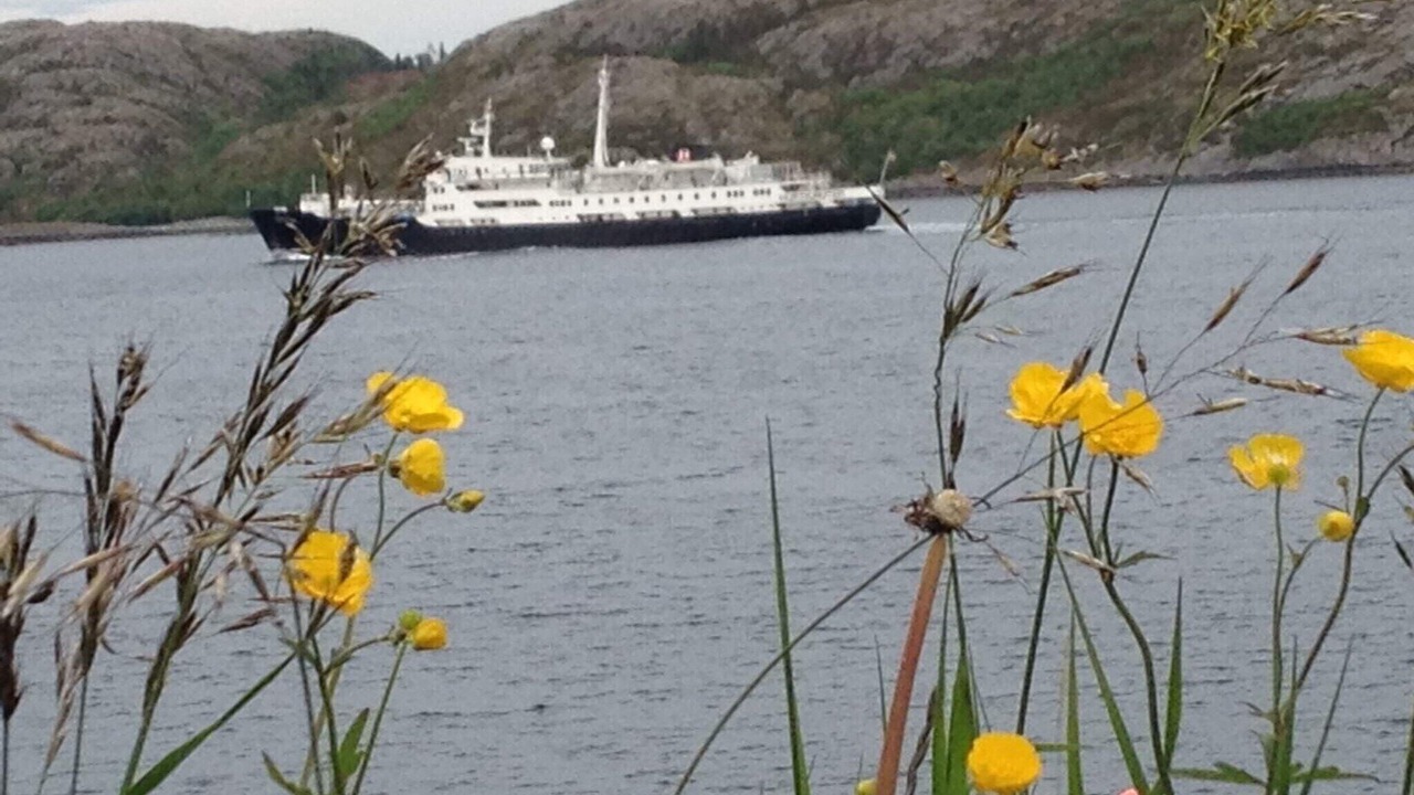 Photo of Others in Lauvsnes