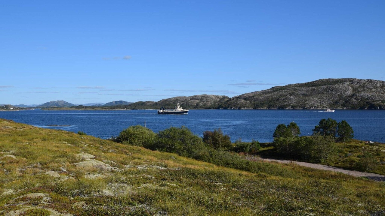 Photo of Others in Lauvsnes