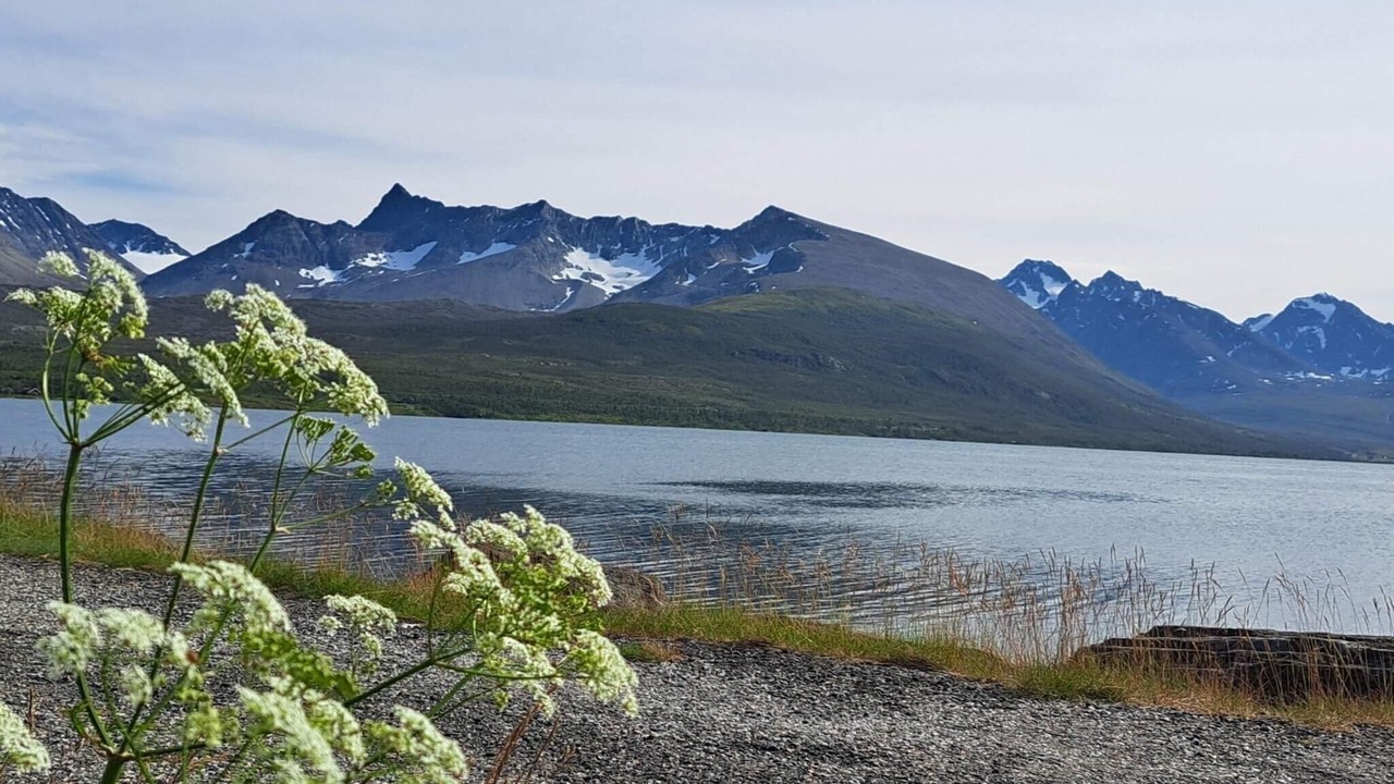 Photo of Others in Lyngen