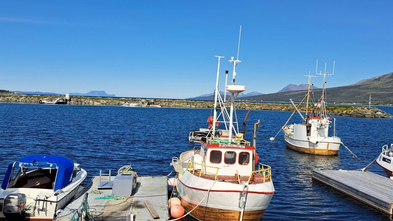Photo of Others in Lyngen