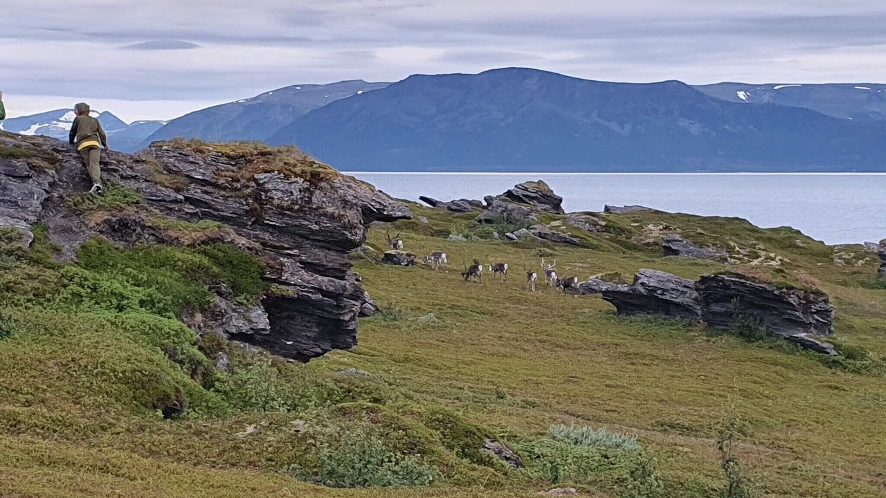 Photo of Others in Lyngen