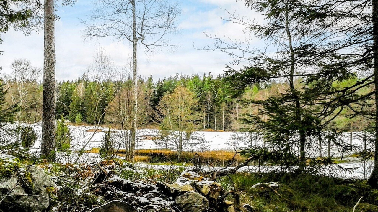Photo of Others in Botkyrka