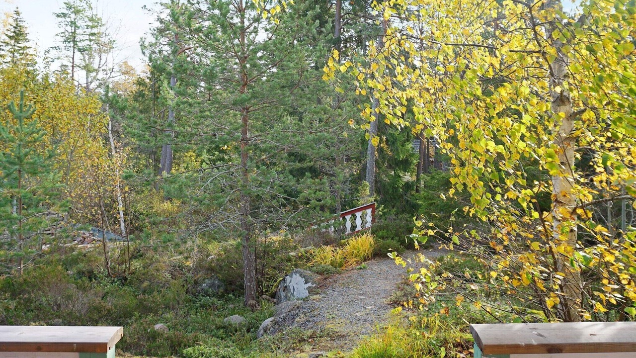 Photo of Outdoor in Vaddo