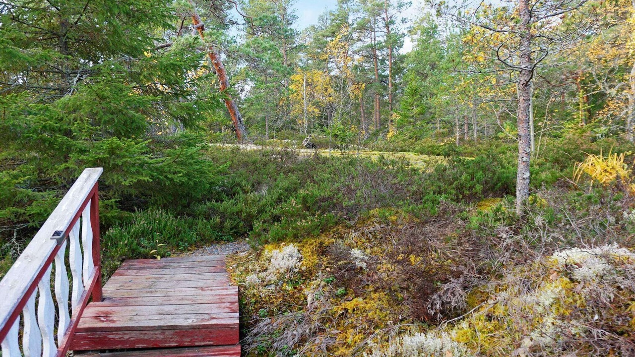 Photo of Outdoor in Vaddo
