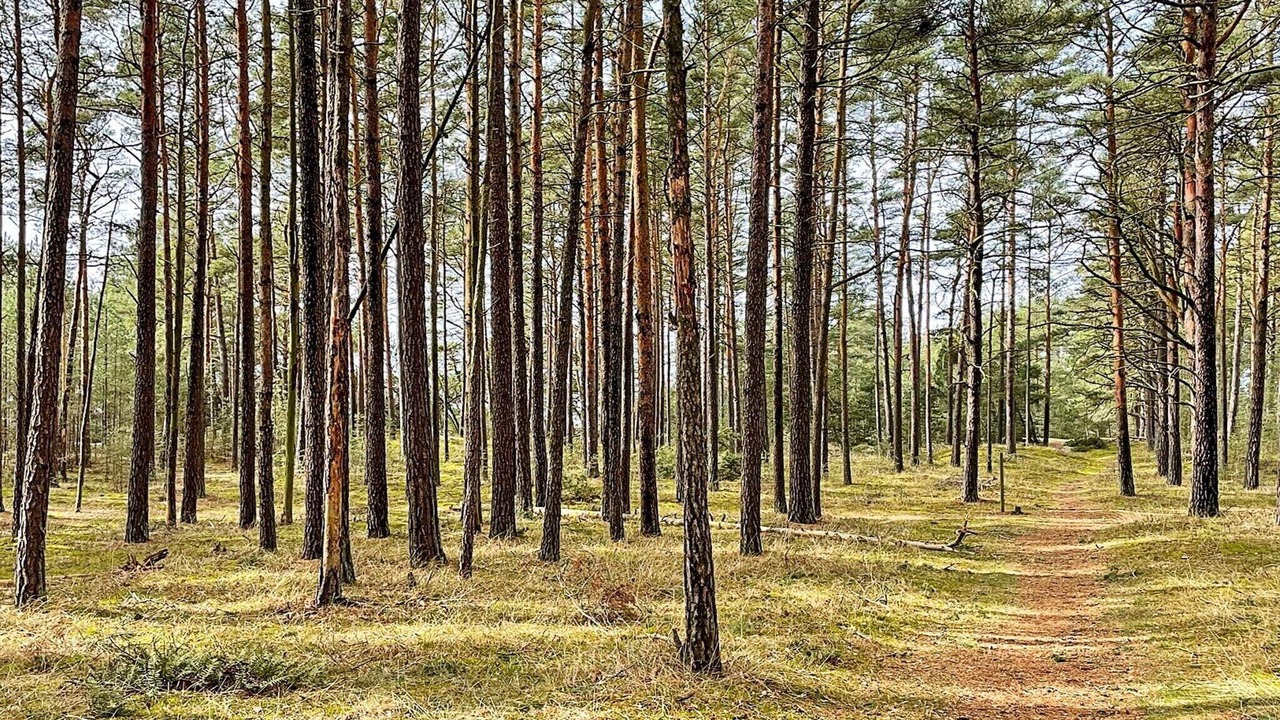 Photo of Others in Brosarp