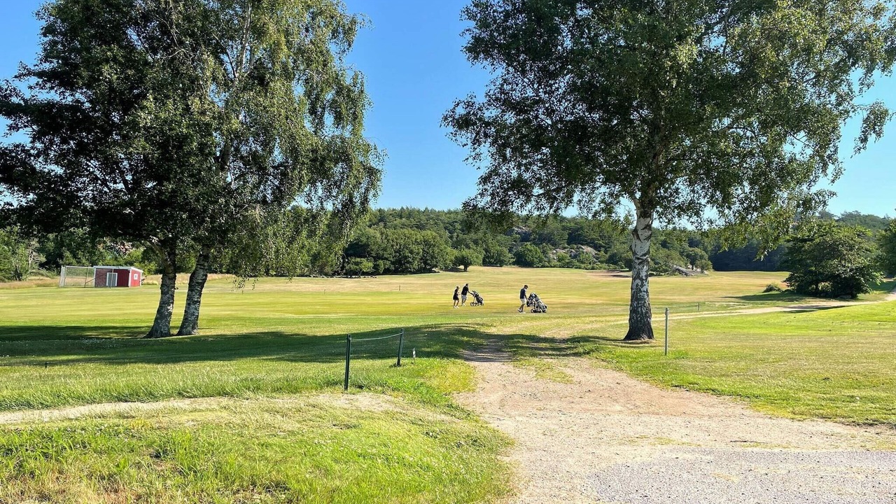 Photo of Others in Stillingson