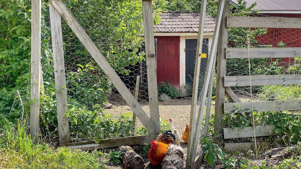 Photo of Outdoor in Valdemarsvik