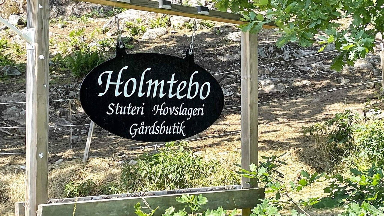 Photo of Others in Valdemarsvik