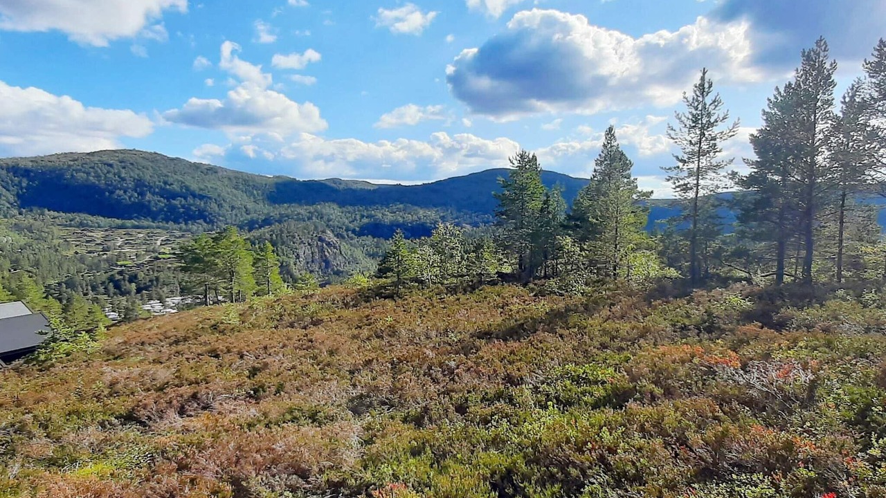 Photo of Others in Tjørhom