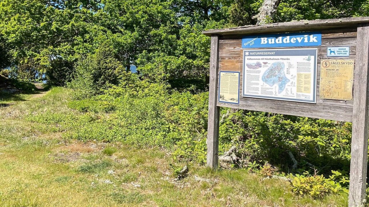 Photo of Outdoor in Torhamn