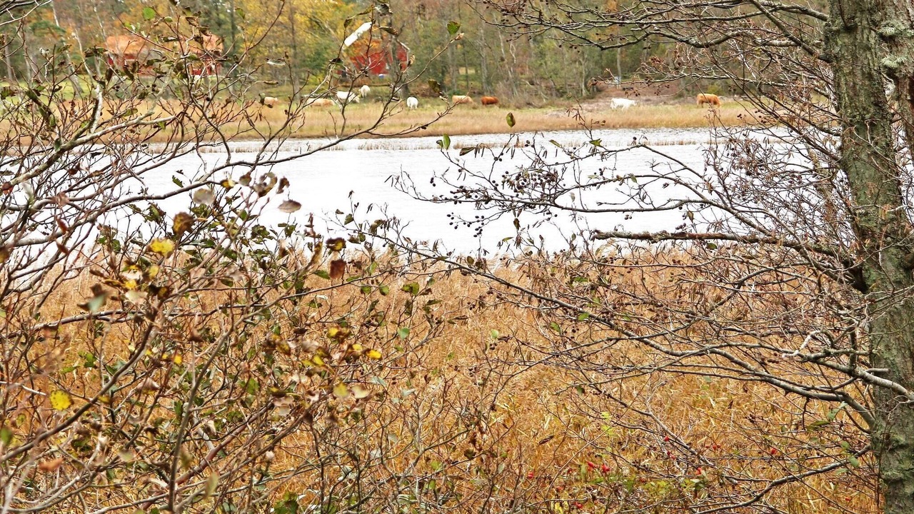 Photo of Outdoor in Laholm