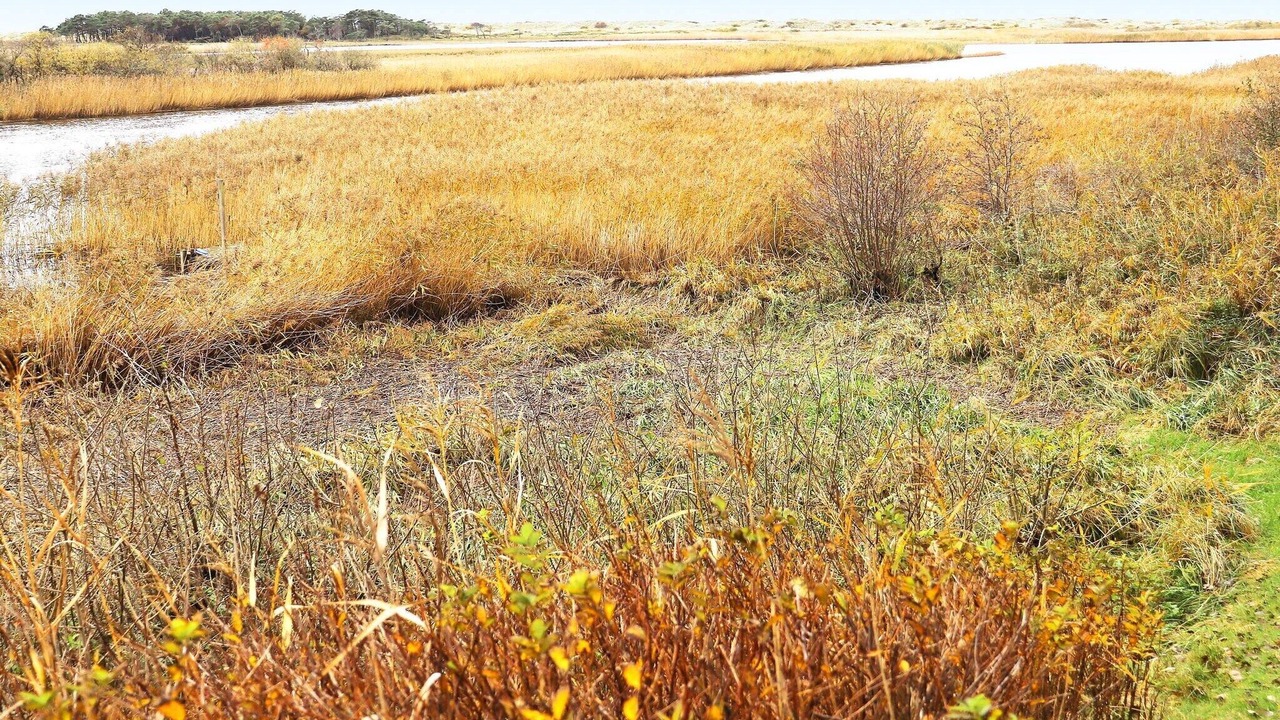 Photo of Outdoor in Laholm