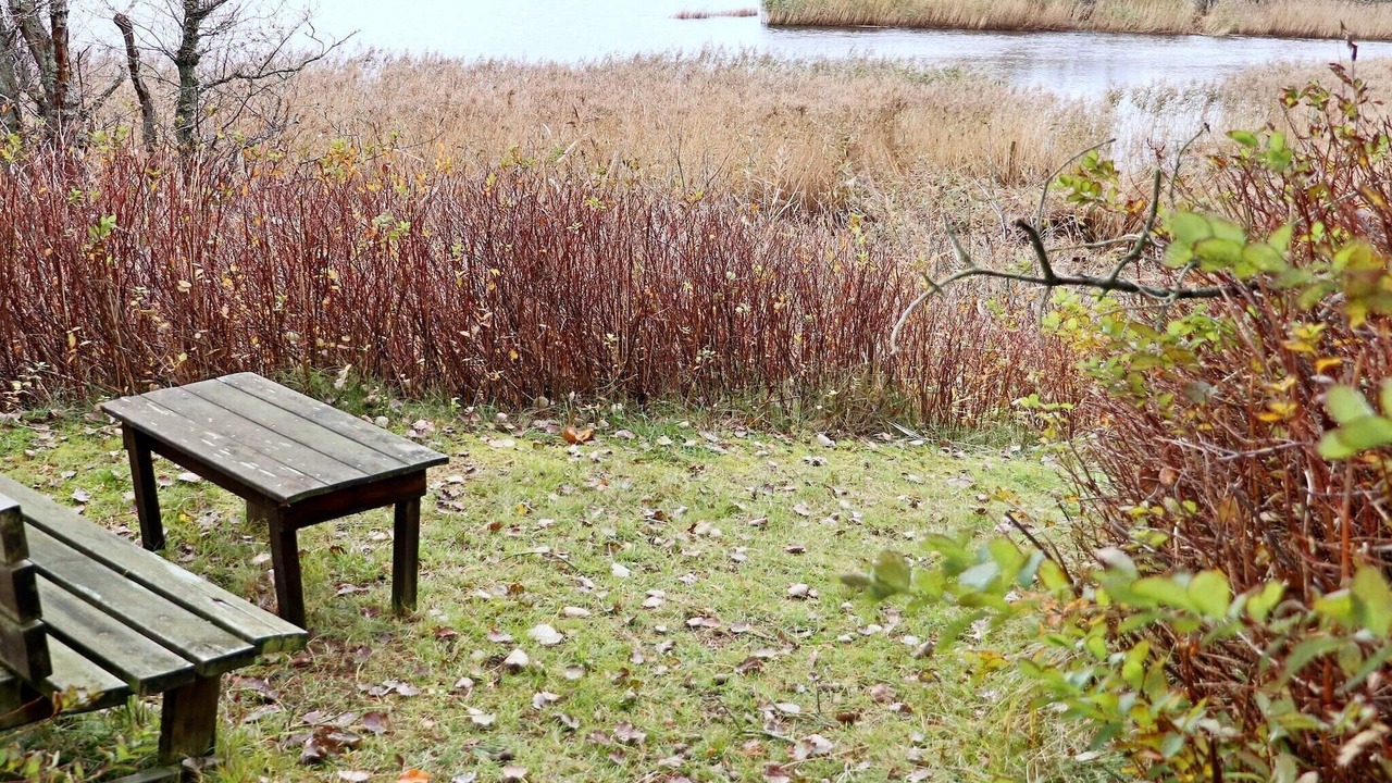 Photo of Others in Laholm