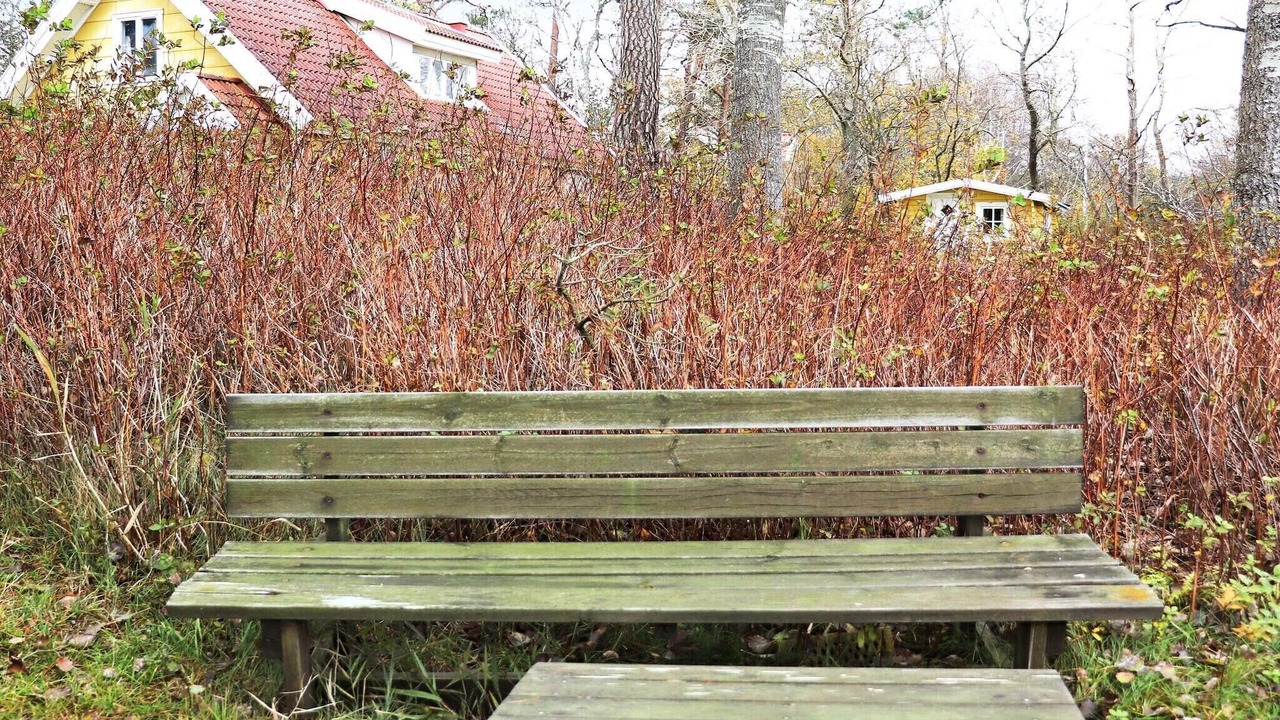 Photo of Outdoor in Laholm