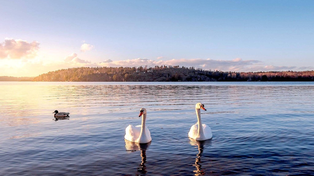 Photo of Others in Bromma
