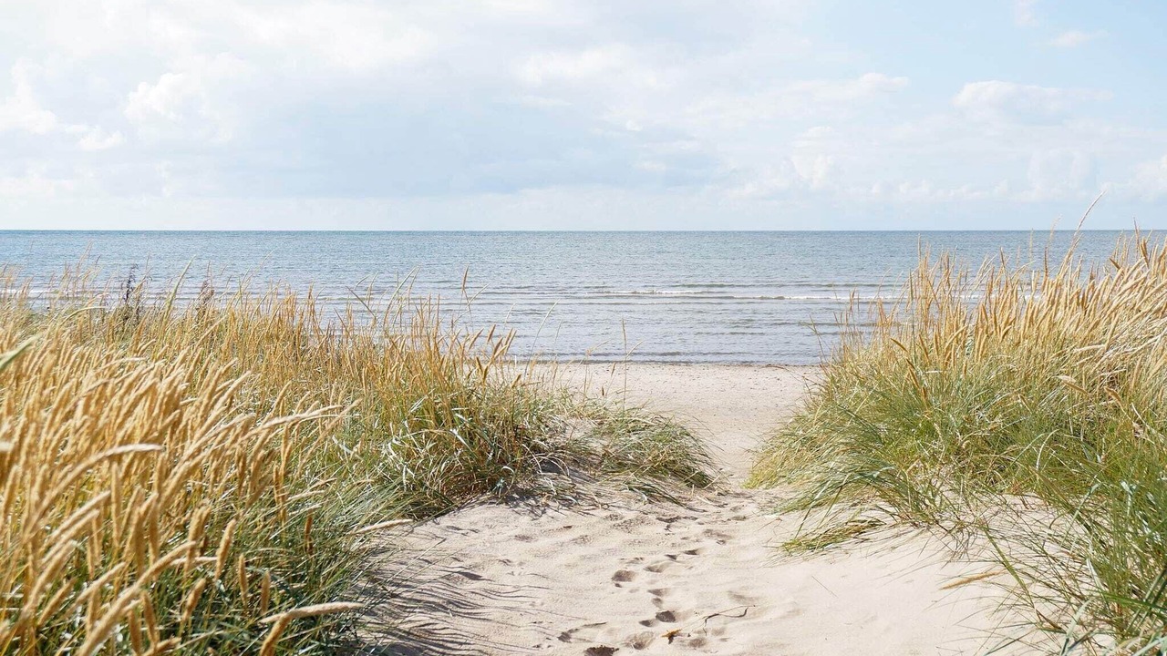 Photo of Others in Falkenberg