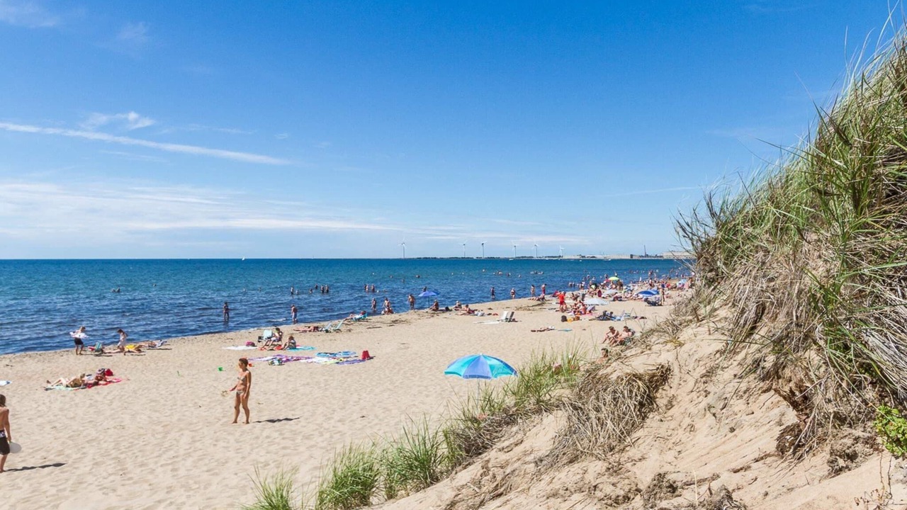 Photo of Others in Falkenberg