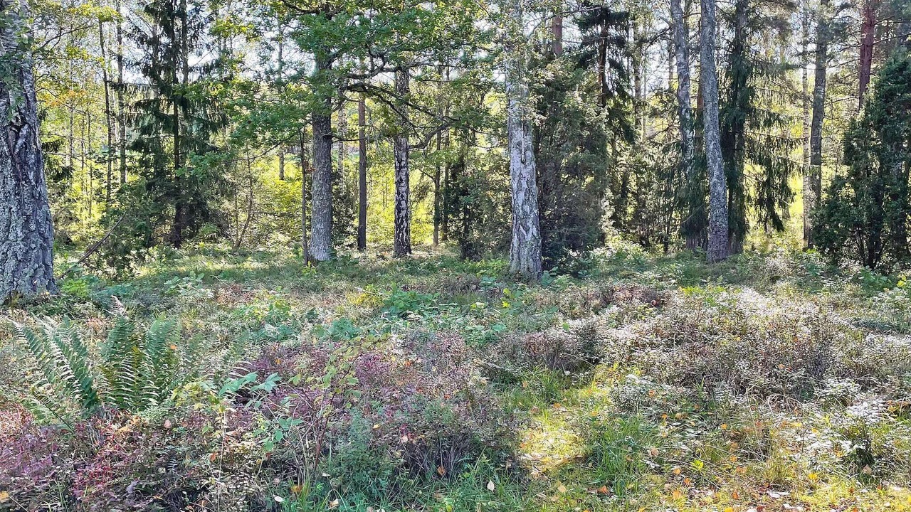 Photo of Outdoor in Lappe