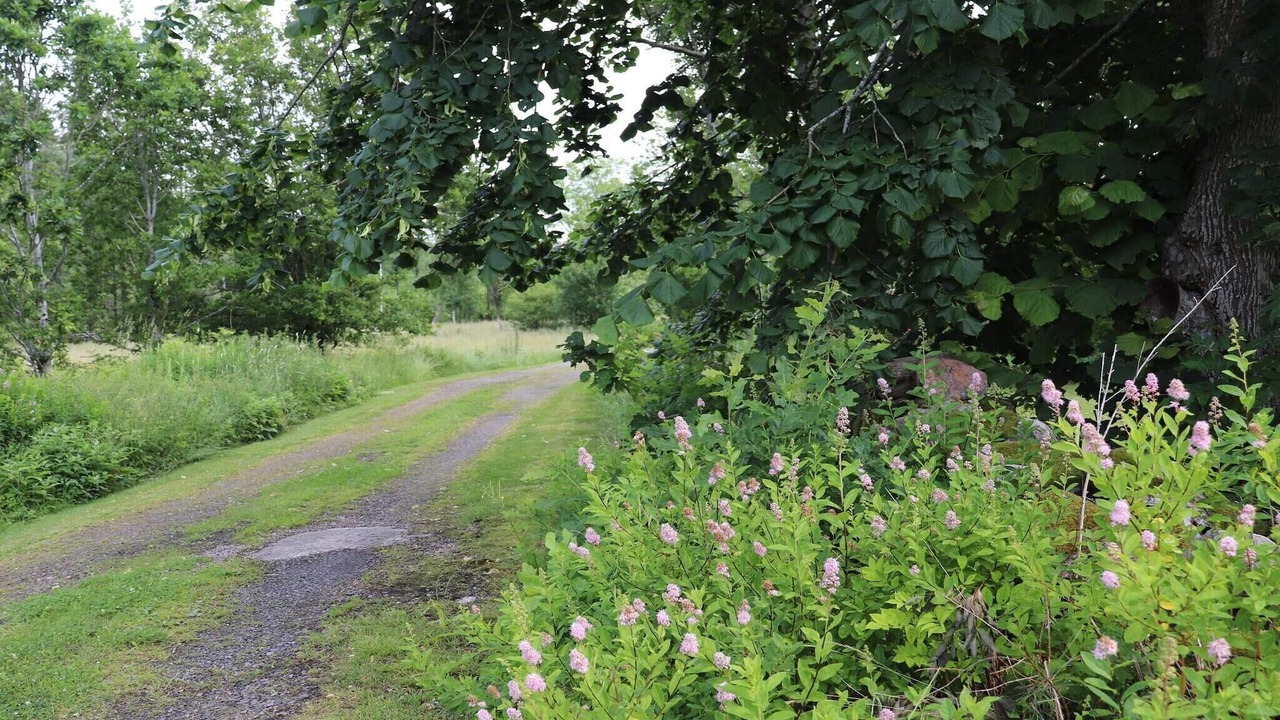 Photo of Outdoor in Karl Gustav