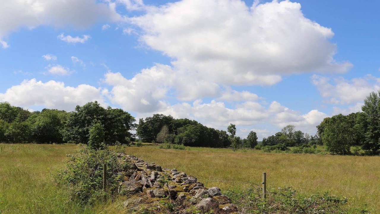 Photo of Outdoor in Karl Gustav