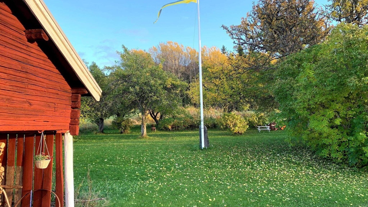 Photo of Outdoor in Tallberg