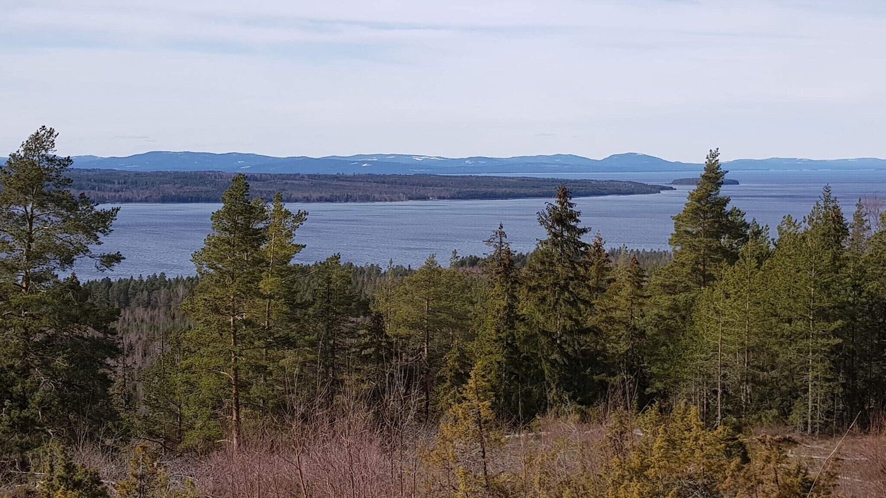 Photo of Others in Tallberg
