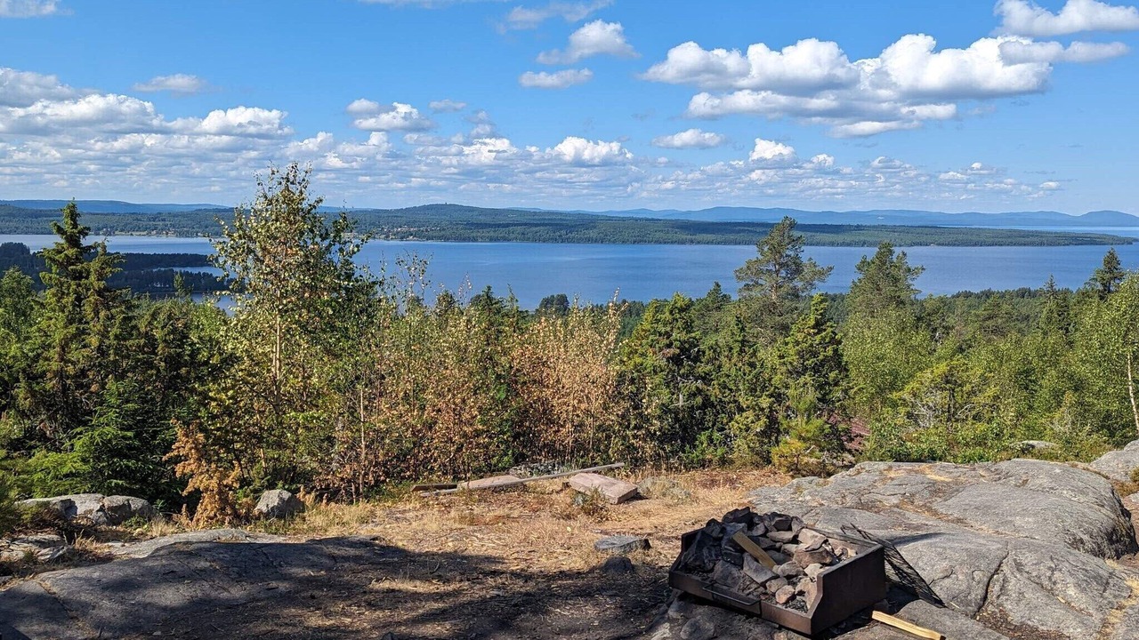 Photo of Others in Tallberg